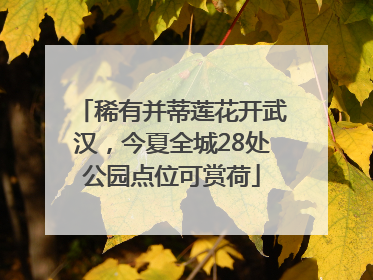 稀有并蒂莲花开武汉，今夏全城28处公园点位可赏荷