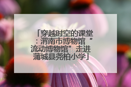 穿越时空的课堂：渭南市博物馆“流动博物馆”走进蒲城县尧柏小学