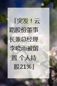 突发！云路股份董事长兼总经理李晓雨被留置 个人持股21%