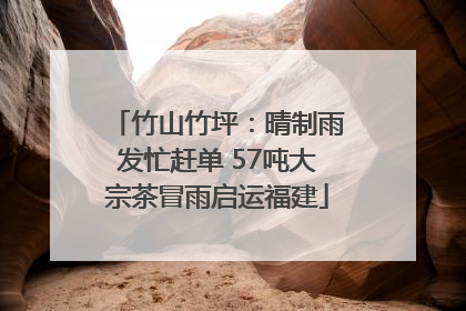 竹山竹坪：晴制雨发忙赶单 57吨大宗茶冒雨启运福建