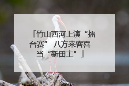竹山西河上演“擂台赛” 八方来客喜当“新田主”