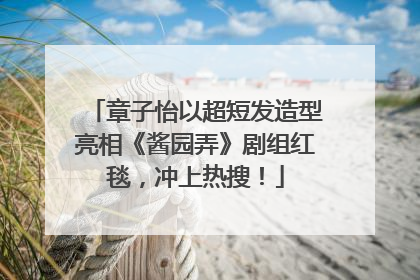章子怡以超短发造型亮相《酱园弄》剧组红毯，冲上热搜！