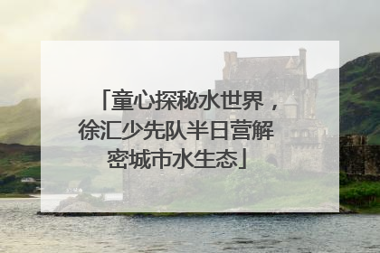 童心探秘水世界，徐汇少先队半日营解密城市水生态