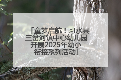 童梦启航！习水县三岔河镇中心幼儿园开展2025年幼小衔接系列活动