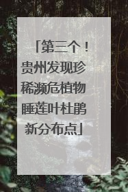 第三个！贵州发现珍稀濒危植物睡莲叶杜鹃新分布点