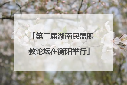 第三届湖南民盟职教论坛在衡阳举行