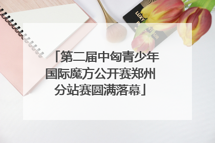 第二届中匈青少年国际魔方公开赛郑州分站赛圆满落幕