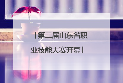 第二届山东省职业技能大赛开幕