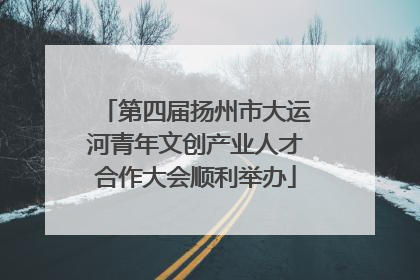 第四届扬州市大运河青年文创产业人才合作大会顺利举办