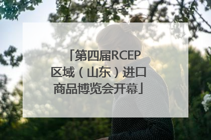 第四届RCEP区域（山东）进口商品博览会开幕