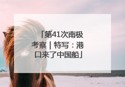 第41次南极考察｜特写：港口来了中国船