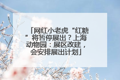 网红小老虎“红糖”将暂停展出？上海动物园：展区改建，会安排展出计划