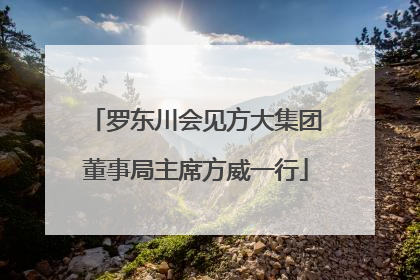 罗东川会见方大集团董事局主席方威一行
