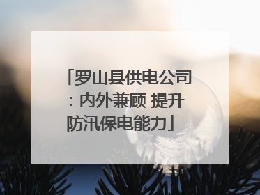 罗山县供电公司：内外兼顾 提升防汛保电能力