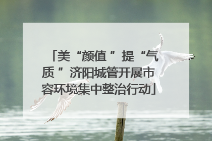 美“颜值 ”提“气质 ”济阳城管开展市容环境集中整治行动