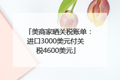 美商家晒关税账单：进口3000美元付关税4600美元
