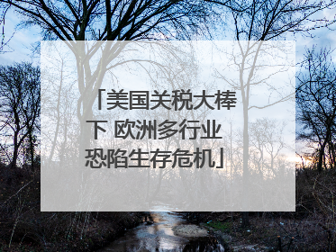 美国关税大棒下 欧洲多行业恐陷生存危机