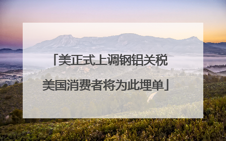 美正式上调钢铝关税 美国消费者将为此埋单