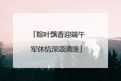 粽叶飘香迎端午 军休情深颂清廉