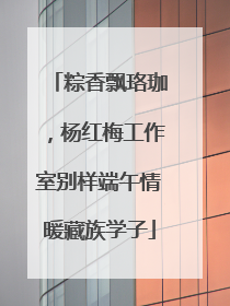 粽香飘珞珈，杨红梅工作室别样端午情暖藏族学子