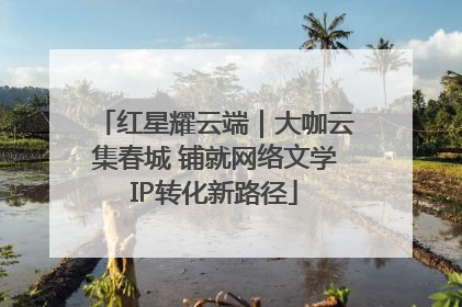 红星耀云端｜大咖云集春城 铺就网络文学IP转化新路径