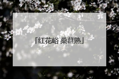 红花峪 桑葚熟