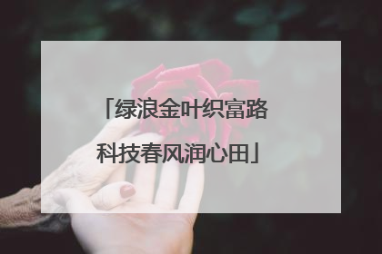 绿浪金叶织富路 科技春风润心田