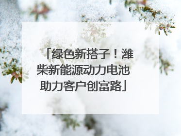绿色新搭子！潍柴新能源动力电池助力客户创富路