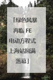 绿色风暴再临 FE电动方程式上海站圆满落幕