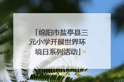 绵阳市盐亭县三元小学开展世界环境日系列活动