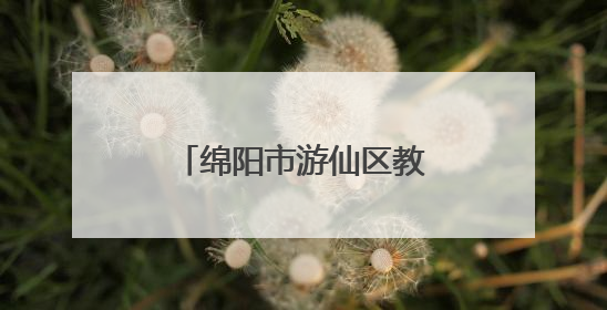 绵阳市游仙区教研室到云凤小学开展教学视导活动