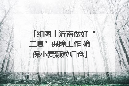 组图丨沂南做好“三夏”保障工作 确保小麦颗粒归仓