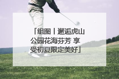 组图丨邂逅虎山公园花海芬芳 享受初夏限定美好