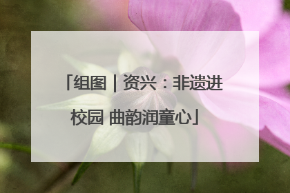 组图｜资兴：非遗进校园 曲韵润童心