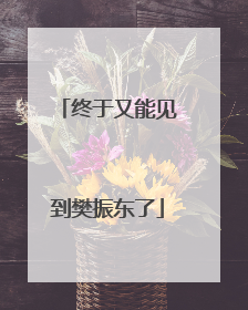 终于又能见到樊振东了