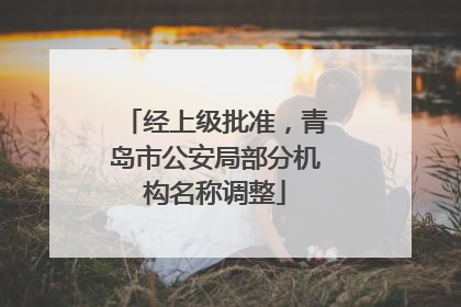 经上级批准，青岛市公安局部分机构名称调整