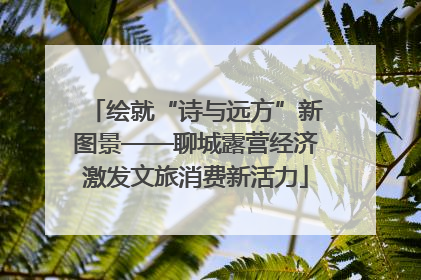 绘就“诗与远方”新图景——聊城露营经济激发文旅消费新活力