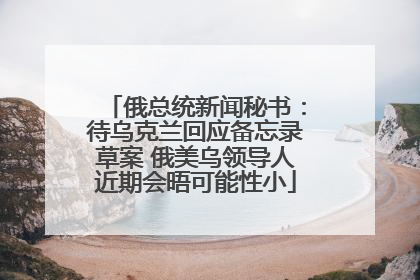 俄总统新闻秘书：待乌克兰回应备忘录草案 俄美乌领导人近期会晤可能性小