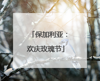 保加利亚:欢庆玫瑰节