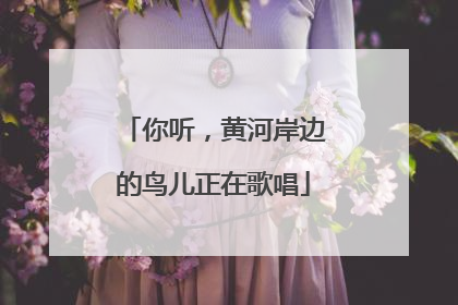 你听，黄河岸边的鸟儿正在歌唱