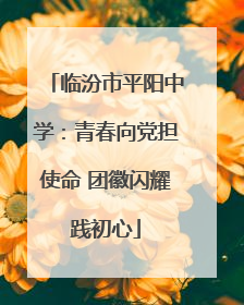 临汾市平阳中学：青春向党担使命 团徽闪耀践初心