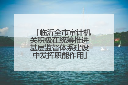 临沂全市审计机关积极在统筹推进基层监督体系建设中发挥职能作用