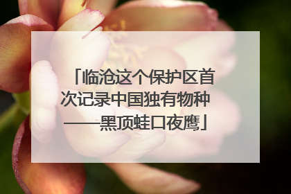 临沧这个保护区首次记录中国独有物种——黑顶蛙口夜鹰