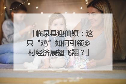 临泉县迎仙镇：这只“鸡”如何引领乡村经济展翅飞翔？