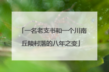 一名老支书和一个川南丘陵村落的八年之变
