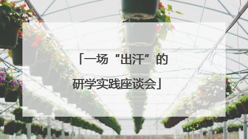 一场“出汗”的研学实践座谈会