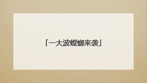 一大波螳螂来袭