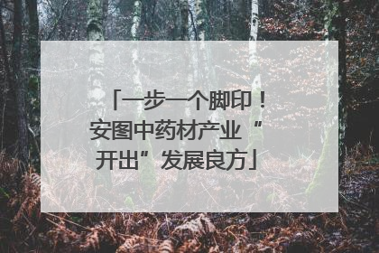 一步一个脚印！安图中药材产业“开出”发展良方