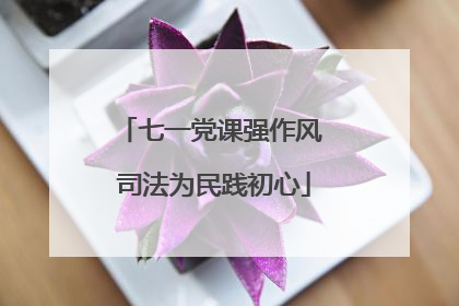 七一党课强作风 司法为民践初心