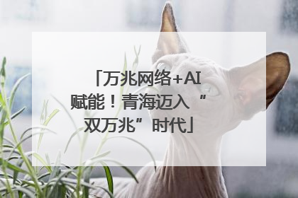 万兆网络+AI赋能！青海迈入“双万兆”时代